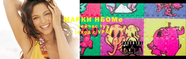СК Алексин