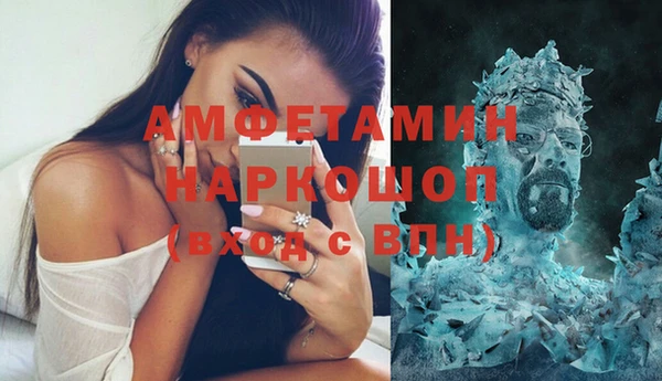 СК Алексин