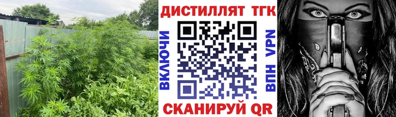 Дистиллят ТГК Wax  Енисейск 