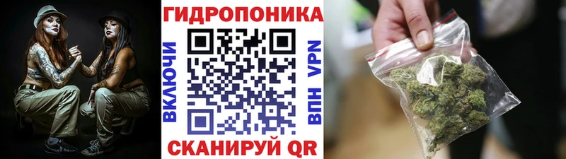 хочу наркоту  Енисейск  Бошки Шишки Amnesia 